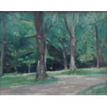 G Halstead c2000 oil on board, "Woodland scene South Africa", wood framed, The oil measures 20 x