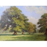 John Hall (1921-2006) oil on board, "Woodland landscape" , stamped, framed, The oil measures 30 x 40