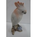 A Royal Dux white porcelain parrot perched on a branch, 20cm high, Appears in good condition
