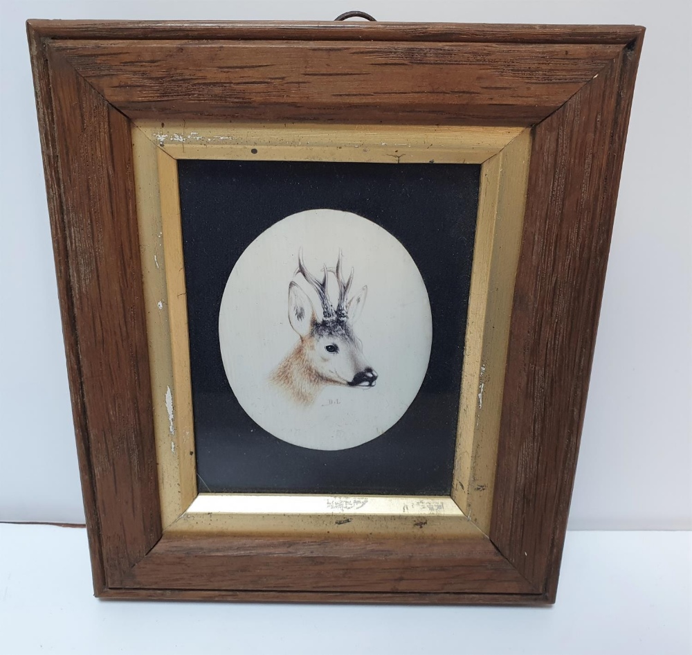 Victorian miniature oval watercolour portrait of a Stags head, initialled D.L, in fine wood frame,