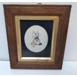 Victorian miniature oval watercolour portrait of a Stags head, initialled D.L, in fine wood frame,