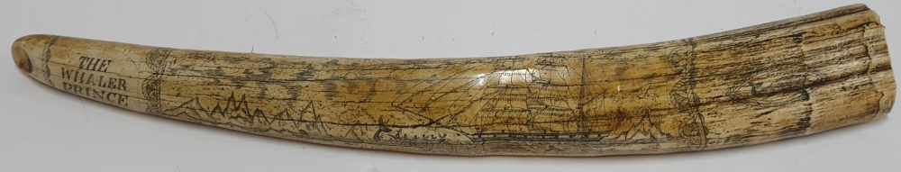 Large replica resin scrimshaw, 56 cm long - Image 3 of 3