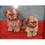 W R Remy, mid 20thC French oil on card, portrait of 2 Terrier pups in early, burr walnut frame,