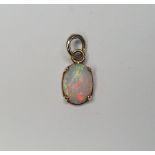 Opal pendent set in unmarked gold surround