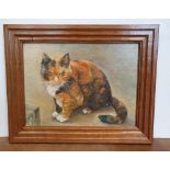 Mary Barr 1988 oil on board "The old tabby cat" in lovely oak frame, The oil measures 28 x 38 cm