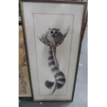 Warwick HIGGS (Born 1956) watercolour "Lemur on a branch", titled "The Lookout" signed, framed and