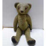 Large Edwardian, unmarked Teddy bear, 55cm tall