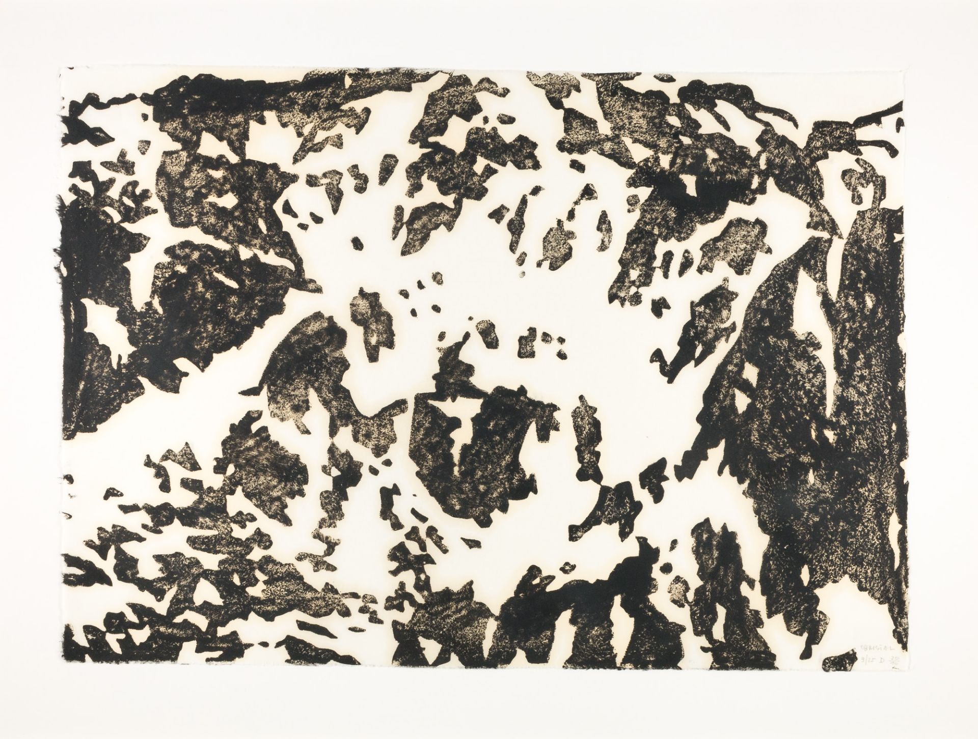 Lichtsteiner, Alois (1950 Ohmstal, Schweiz) - Bild 4 aus 5