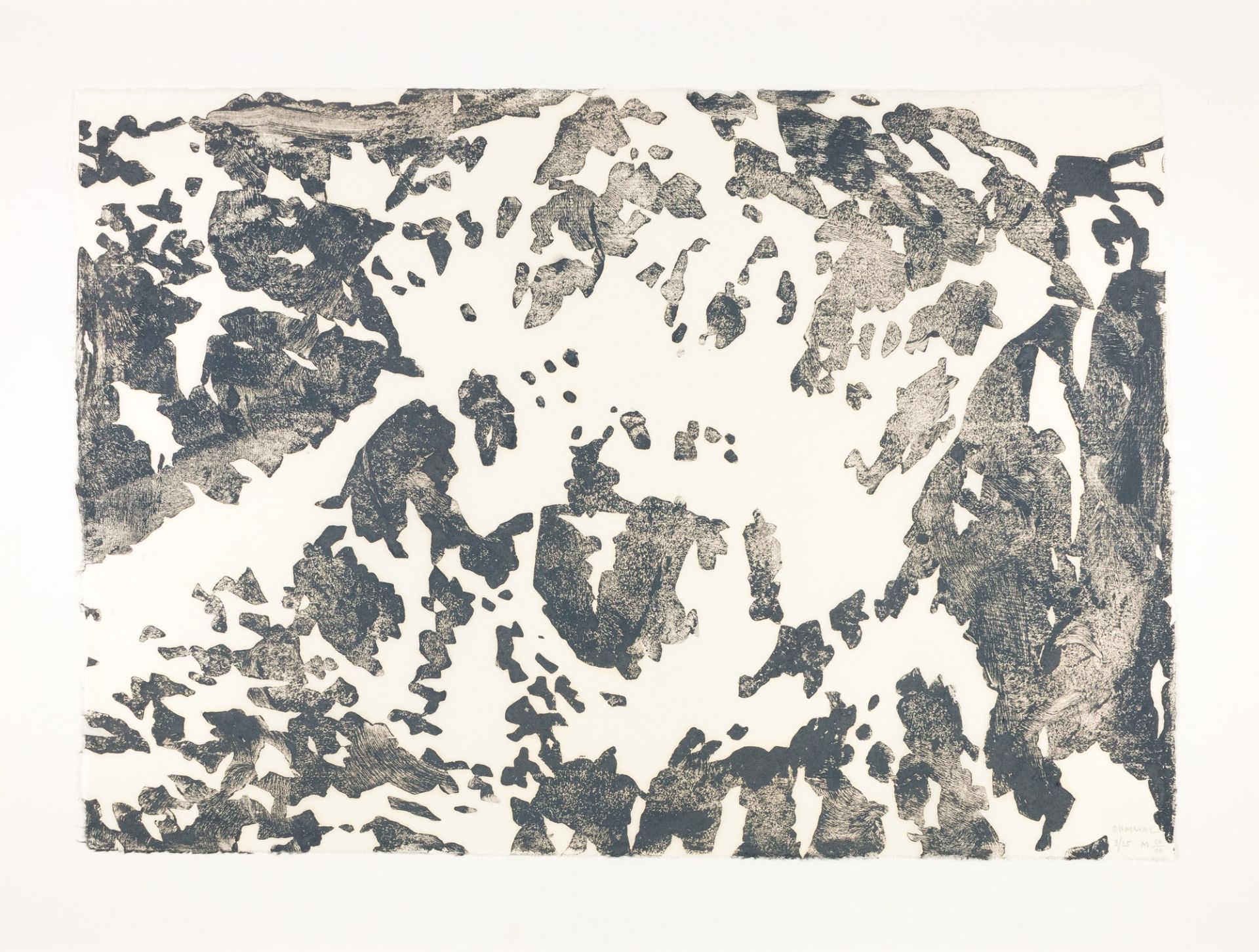 Lichtsteiner, Alois (1950 Ohmstal, Schweiz) - Bild 3 aus 5