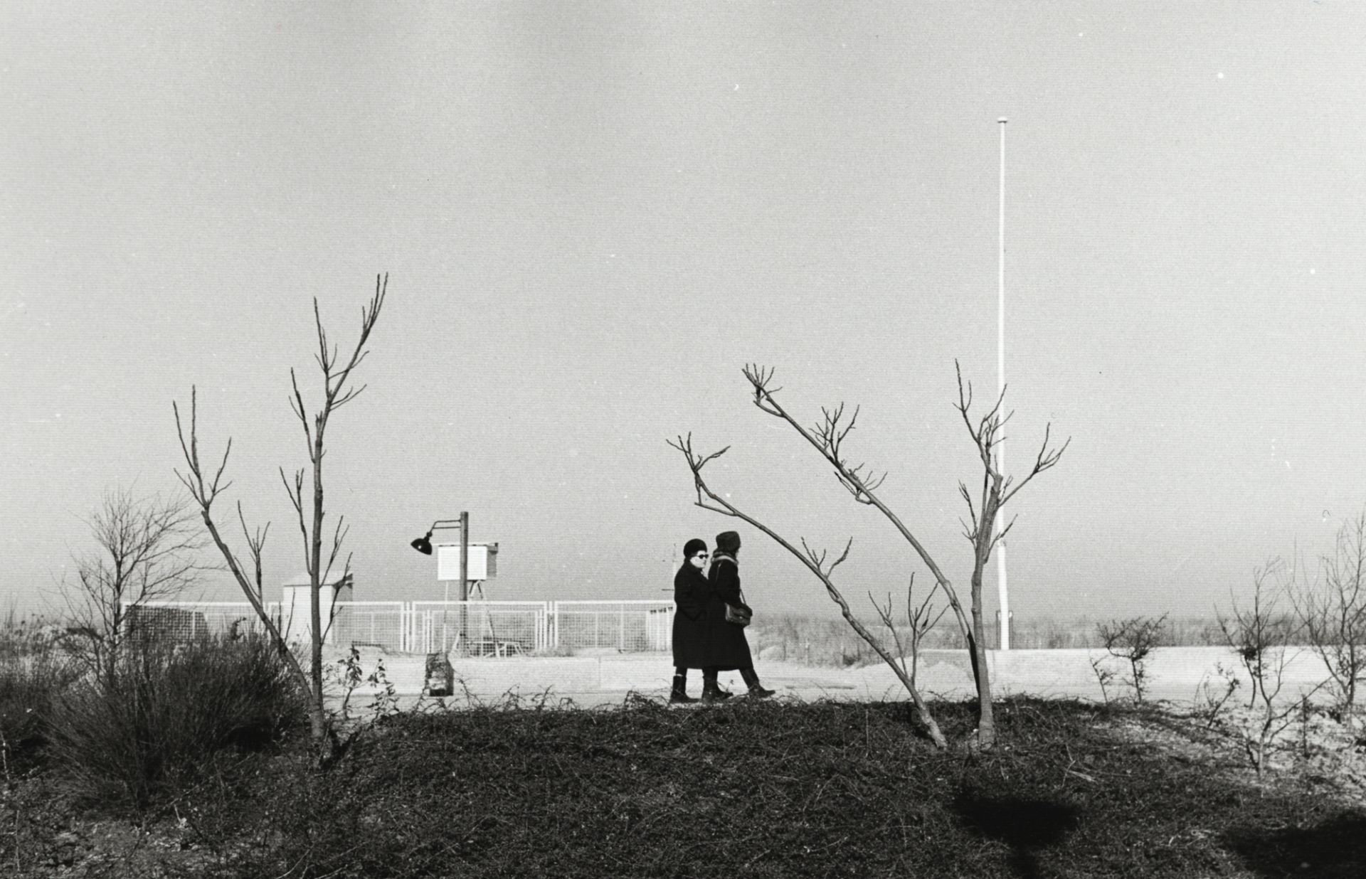 Wüst, Ulrich (1949 Magdeburg) - Bild 4 aus 5