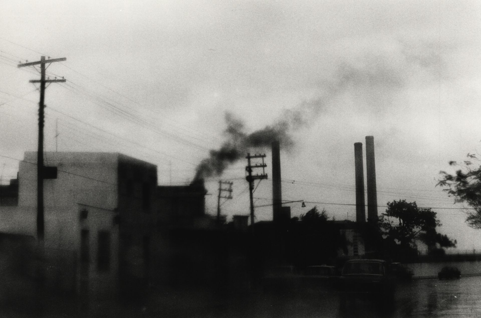 Werkstatt für Photographie - Verschiedene Künstler - Bild 4 aus 5