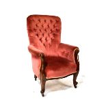 A Victorian mahogany button-back armchair upholstered in pink velour and with scroll ends,