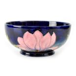A Moorcroft tube line decorated 'Magnolia' pattern bowl, cobalt blue ground with pink magnolias,
