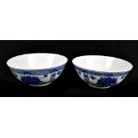 A pair of 19th century Chinese blue and white porcelain footed bowls painted with floral sprays