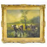 PIEMS; oil on canvas, 'Cattle Grazing', signed lower right, framed, 59 x 69cm.Additional