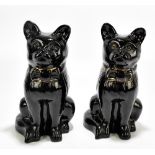 A pair of late 19th century Staffordshire Jackfield style black glazed large models of seated cats