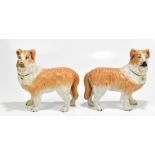 A pair of late Victorian century Staffordshire Collies with gilt detail, height 23cm, length 22cm (