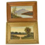 INDISTINCTLY SIGNED; two Victorian scenic oils on board,