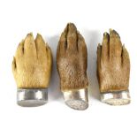 Three early 20th century otter paw brooches,