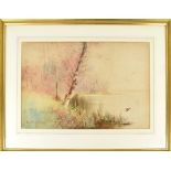 PROCTER; watercolour, Autumn lake scene with ducks to foreground, 41 x 59cm, framed and glazed.