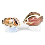 Two Royal Crown Derby Imari paperweights, 'Tropical Fish Sweetlips', 1990,