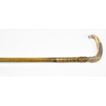 An early 20th century horn handled walking stick with base metal mount and lacking ferrule, length