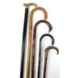 Five walking sticks including a horn handled example with hallmarked silver collar (af), length