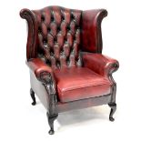 A modern button back wing armchair upholstered in oxblood studded leather, on cabriole legs.