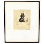 CECIL CHARLES WINDSOR ALDIN (1870-1935); pencil signed limited edition etching, 'A Cocker