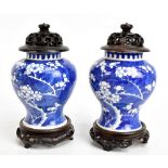 A pair of late 19th/early 20th century Chinese blue and white porcelain vases decorated with