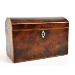 An early 19th century yew wood dome topped tea caddy, the hinged cover enclosing two compartments,