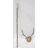 A pair of deer horn mounted on a modern wooden shield, and a horn-handled staff,