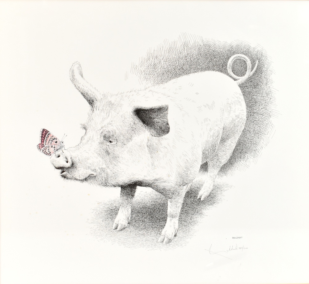 WILLIAM GELDART; two pencil signed limited edition prints depicting pigs, 387/600 and 406/750, - Image 4 of 5