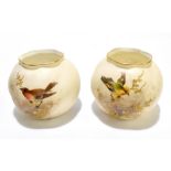 GRAINGER'S WORCESTER; a pair of globular vases painted with birds sitting upon gilt branches,