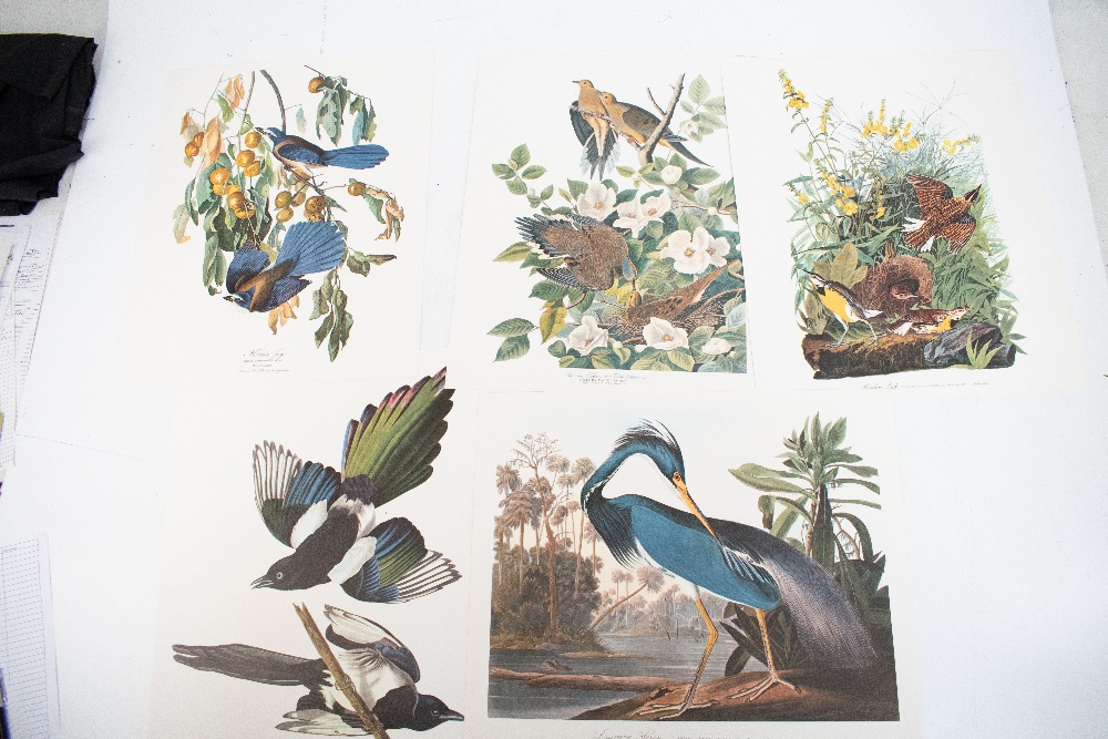 DOCK (G), THE AUDUBON FOLIO, with 33 loose colour plates and text booklet, Harry Abrams, 1964 (1). - Image 5 of 8