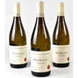 Nine bottles of Maison Roche de Bellene Meursault Grand Vin de Bourgogne 2009 white wine (9).