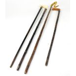 Four various walking sticks and canes comprising an ebonised horn topped cane with silver collar