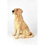 A large Beswick porcelain figure depicting a Golden Labrador in seated position, no.