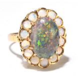 A yellow metal black opal and white opal ring, the central oval cabochon above a border of