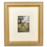 MARY SHAW; oil on panel, girl in a meadow, signed lower left, 17.5 x 12.5cm, framed and glazed. (D)