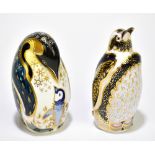 ROYAL CROWN DERBY; a limited edition 'Galapagos Penguin' paperweight, 922/1000, with gold stopper,