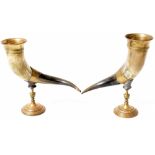 A pair of 19th century horn of cornucopia table ornaments,