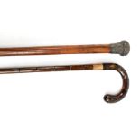An early 20th century walking stick with faux tortoiseshell handle and 9ct yellow gold ferrule,