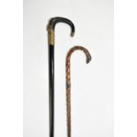 Two walking sticks including an example with horn handle and ebony shaft, with gilt metal ferrule,