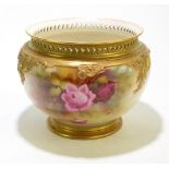 ROYAL WORCESTER; a jardiniere with pierced rim, gilt heightened and hand painted rose decoration,