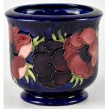 WALTER MOORCROFT; an 'Anemone' pattern planter, blue ground, printed and factory marks to the base,