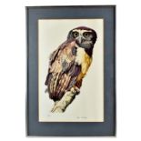 DON CORDERY; signed limited edition colour print, 'Eagle Owl', 101/200, signed in pencil, 52.5 x