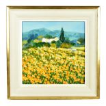 HAZEL BARKER; oil on canvas, 'Golden Landscape, Tuscany', signed lower right, 29 x 29cm, framed. (