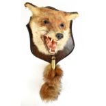 TAXIDERMY; a fox head and brush mounted on to a stained pine back plate with label verso for J.