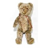 A very large c1950s plush teddy bear with growler, with later ribbon to neck, length 83cm.